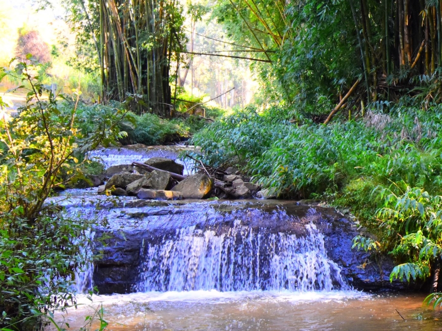0 Bedroom Property for Sale in Montrose KwaZulu-Natal