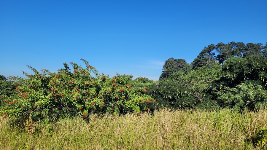 0 Bedroom Property for Sale in New Salt Rock City KwaZulu-Natal