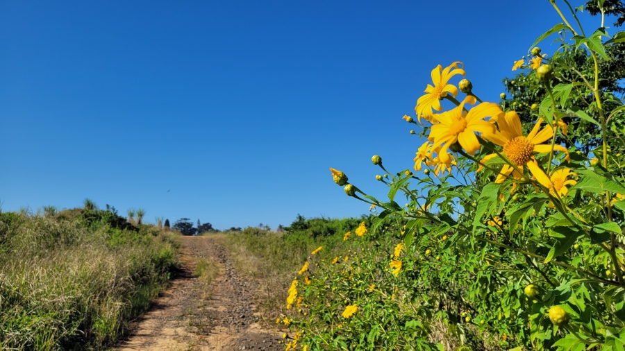 0 Bedroom Property for Sale in New Salt Rock City KwaZulu-Natal