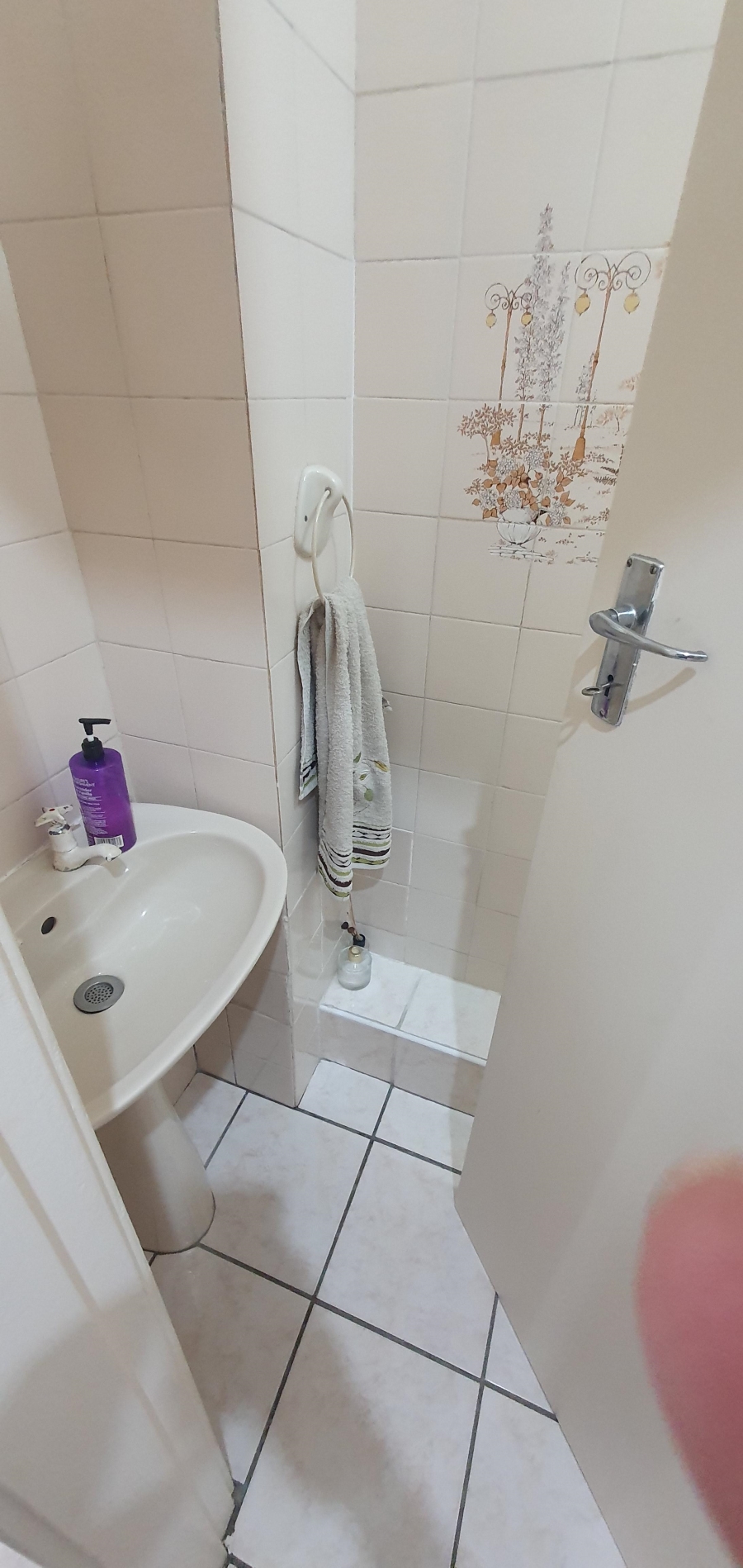 3 Bedroom Property for Sale in Musgrave KwaZulu-Natal