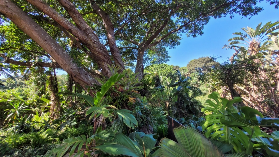 3 Bedroom Property for Sale in Zimbali Coastal Resort Estate KwaZulu-Natal