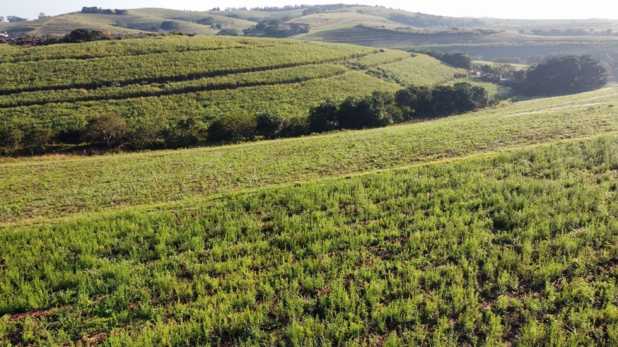 0 Bedroom Property for Sale in Fairview Estates KwaZulu-Natal