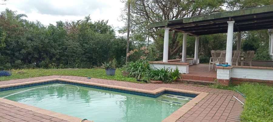 To Let 4 Bedroom Property for Rent in Darnall KwaZulu-Natal