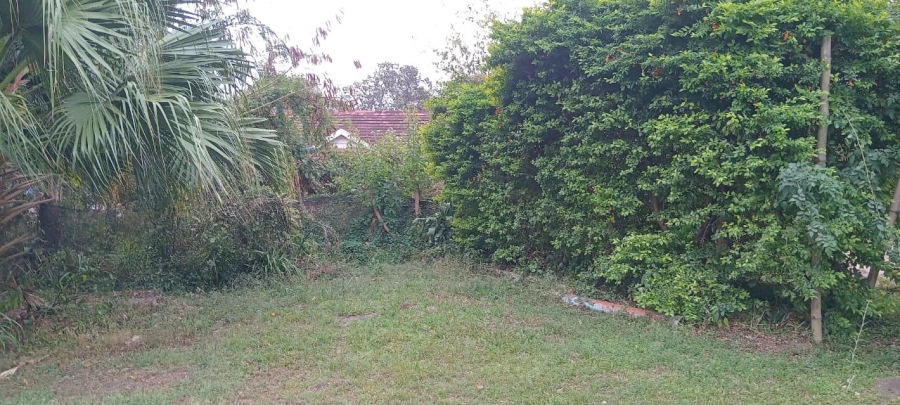 To Let 4 Bedroom Property for Rent in Darnall KwaZulu-Natal