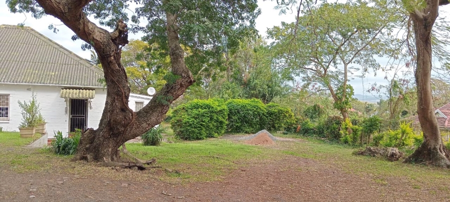 To Let 4 Bedroom Property for Rent in Darnall KwaZulu-Natal