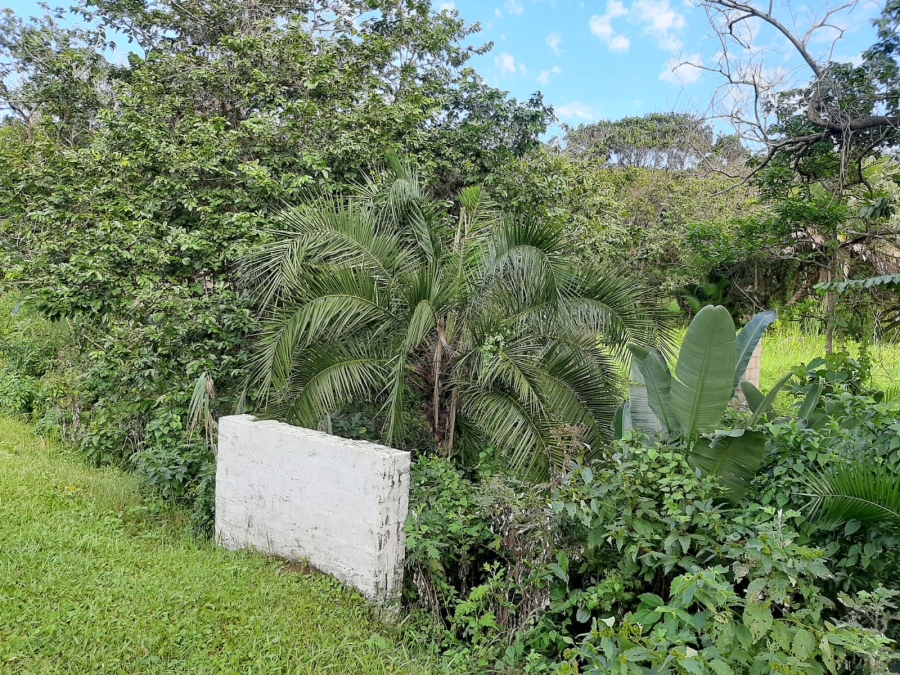 0 Bedroom Property for Sale in Palm Beach KwaZulu-Natal
