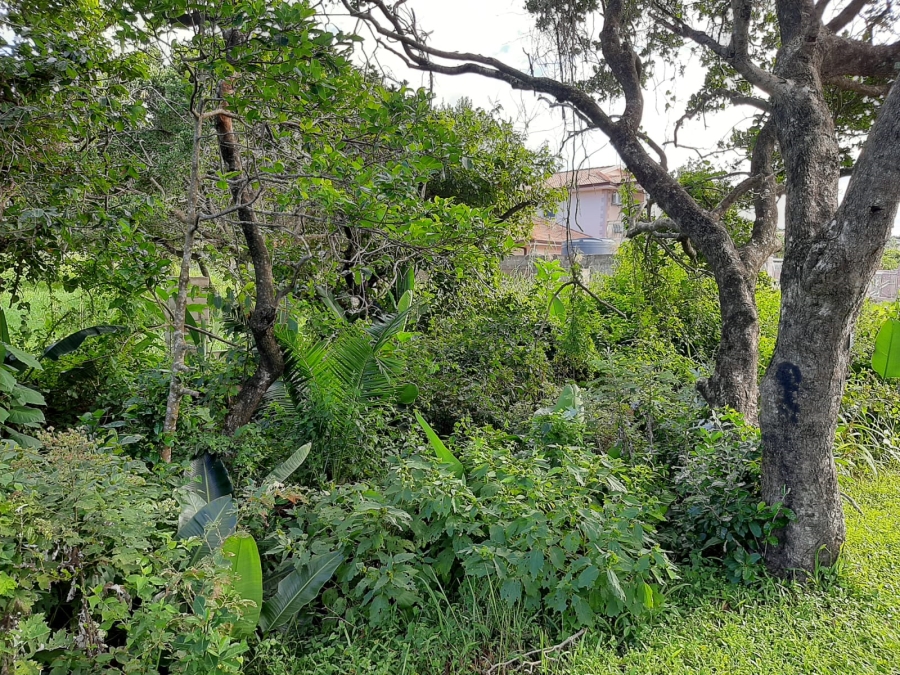 0 Bedroom Property for Sale in Palm Beach KwaZulu-Natal
