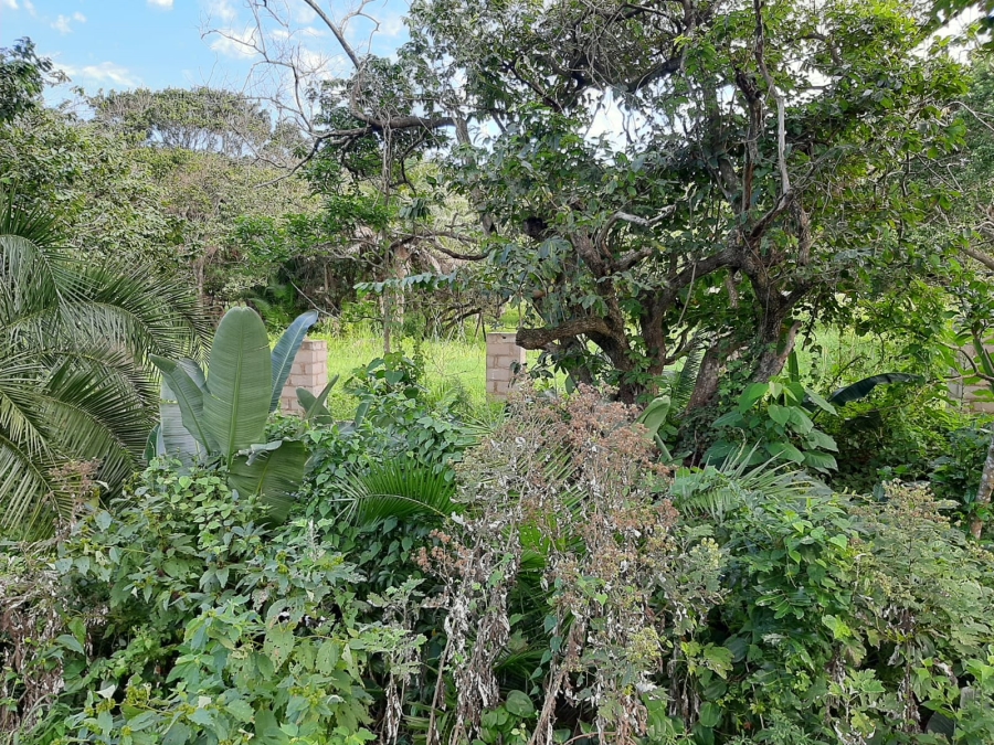 0 Bedroom Property for Sale in Palm Beach KwaZulu-Natal