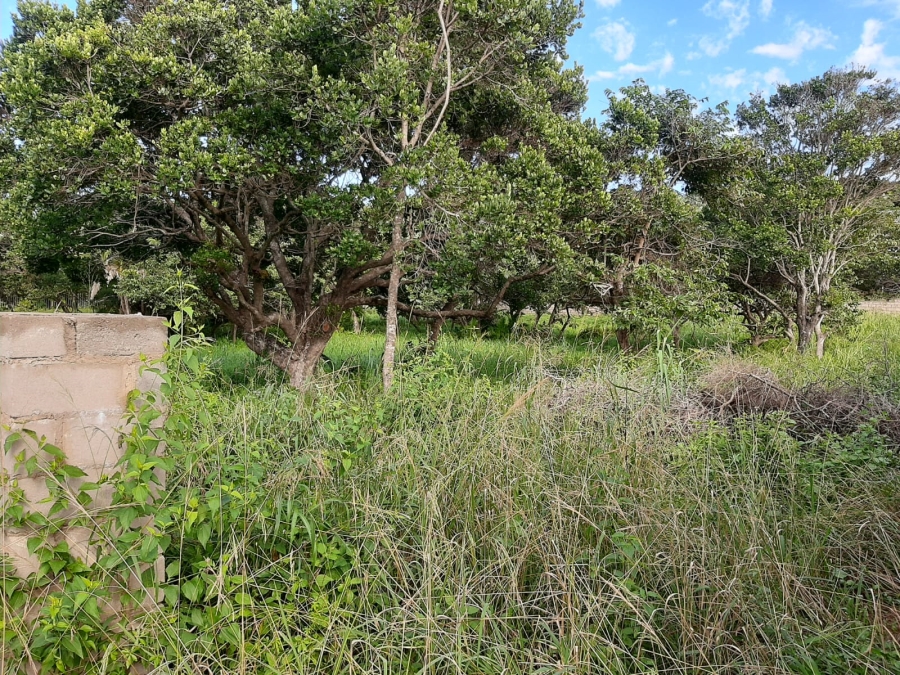 0 Bedroom Property for Sale in Palm Beach KwaZulu-Natal