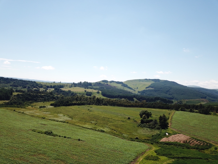 0 Bedroom Property for Sale in Boston KwaZulu-Natal