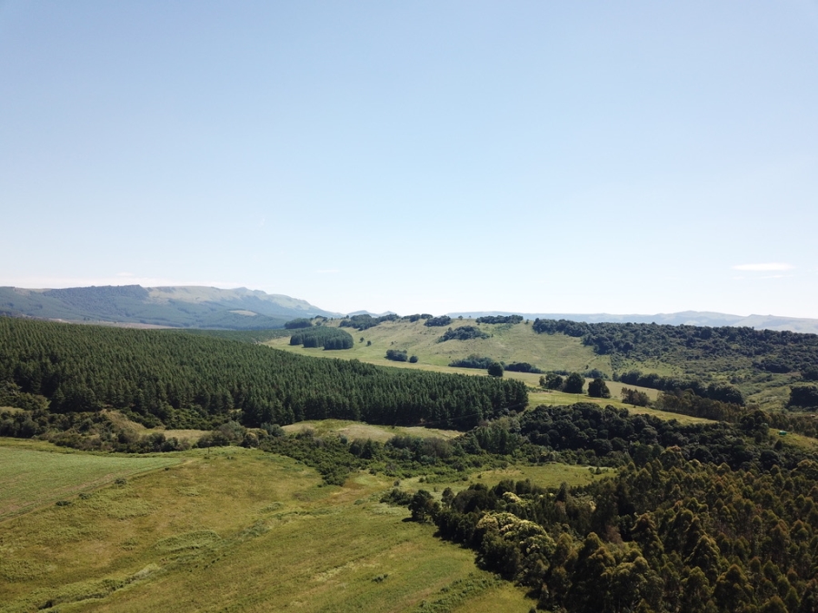 0 Bedroom Property for Sale in Boston KwaZulu-Natal
