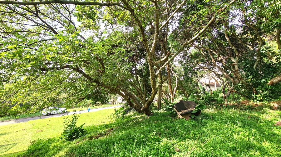 0 Bedroom Property for Sale in Pennington KwaZulu-Natal