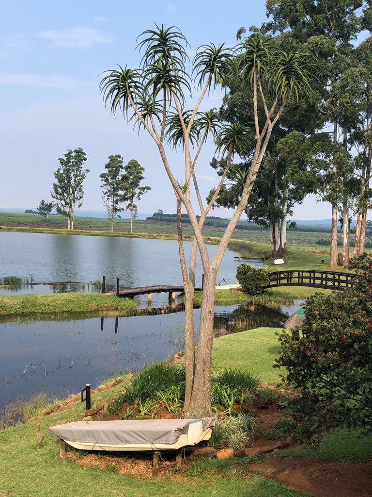 3 Bedroom Property for Sale in Albert Falls KwaZulu-Natal
