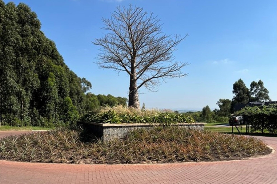 0 Bedroom Property for Sale in Elaleni Coastal Forest Estate KwaZulu-Natal