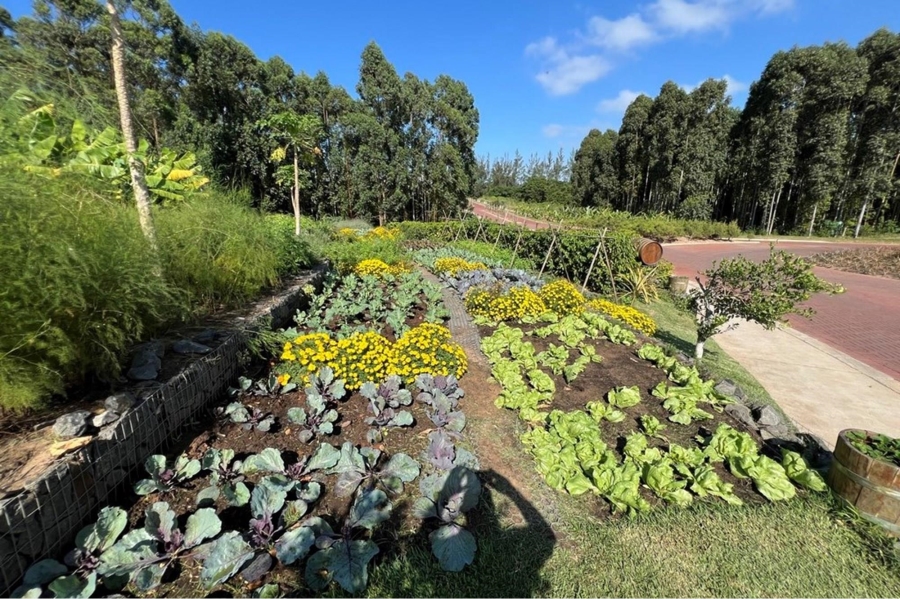 0 Bedroom Property for Sale in Elaleni Coastal Forest Estate KwaZulu-Natal