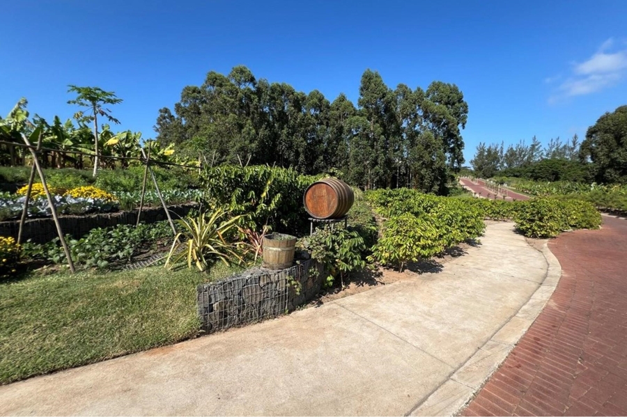 0 Bedroom Property for Sale in Elaleni Coastal Forest Estate KwaZulu-Natal