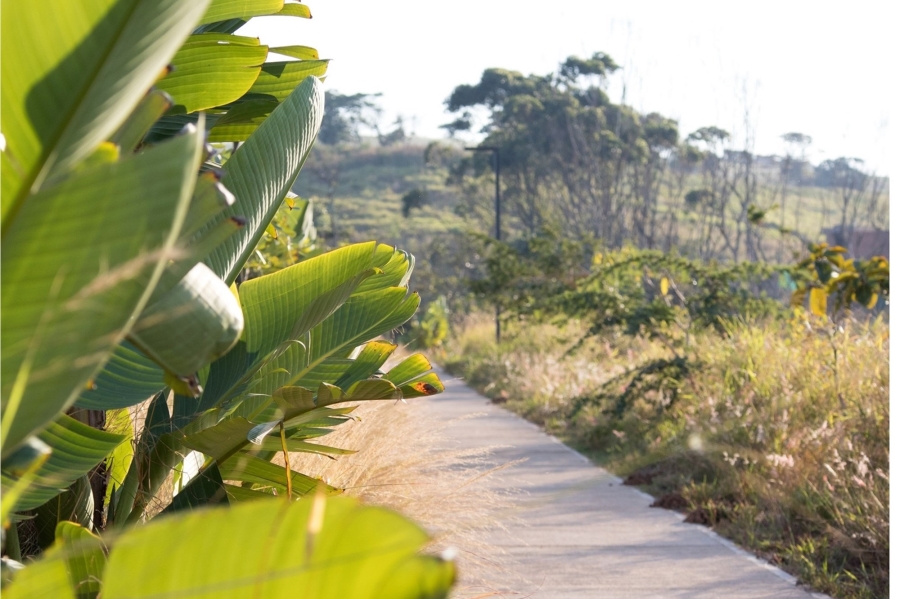 0 Bedroom Property for Sale in Sheffield Beach KwaZulu-Natal