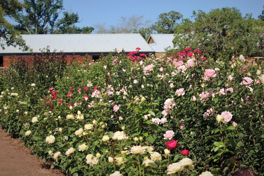 8 Bedroom Property for Sale in Wartburg KwaZulu-Natal
