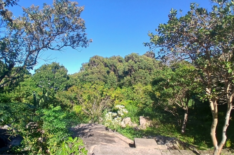 To Let 4 Bedroom Property for Rent in Ramsgate KwaZulu-Natal