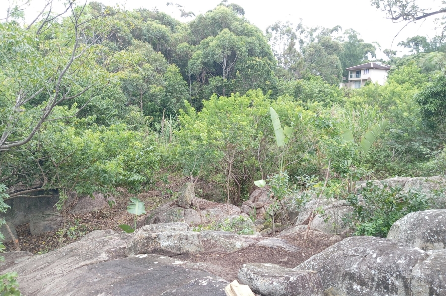 To Let 4 Bedroom Property for Rent in Ramsgate KwaZulu-Natal