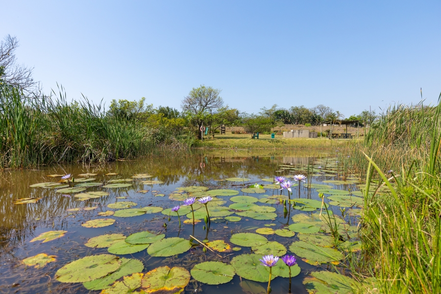 2 Bedroom Property for Sale in Manor Estates KwaZulu-Natal