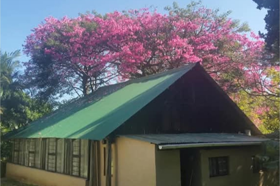 9 Bedroom Property for Sale in Black Rock KwaZulu-Natal