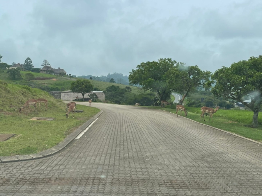 5 Bedroom Property for Sale in Assagay KwaZulu-Natal