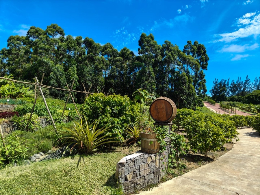 4 Bedroom Property for Sale in Elaleni Coastal Forest Estate KwaZulu-Natal