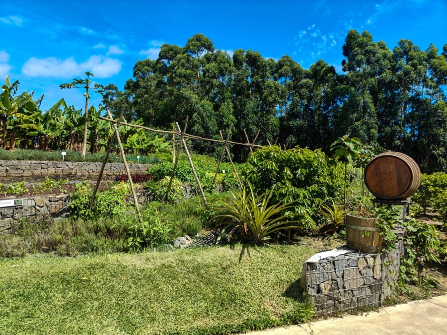 4 Bedroom Property for Sale in Elaleni Coastal Forest Estate KwaZulu-Natal