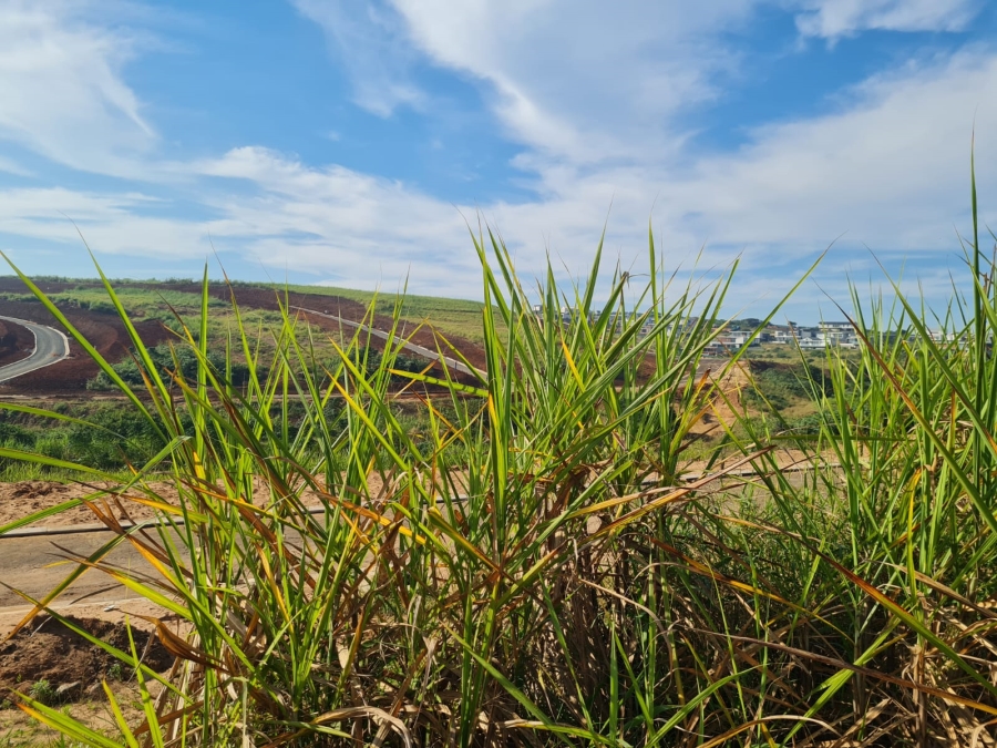 0 Bedroom Property for Sale in Seaton Estate KwaZulu-Natal