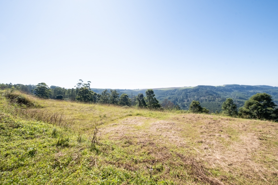 0 Bedroom Property for Sale in Worlds View KwaZulu-Natal