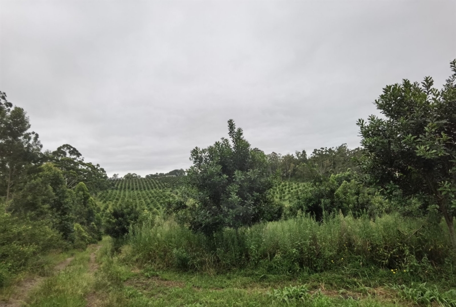 0 Bedroom Property for Sale in Paddock KwaZulu-Natal