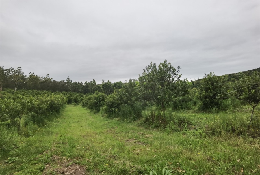 0 Bedroom Property for Sale in Paddock KwaZulu-Natal