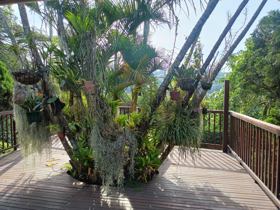 3 Bedroom Property for Sale in Amanzimtoti KwaZulu-Natal