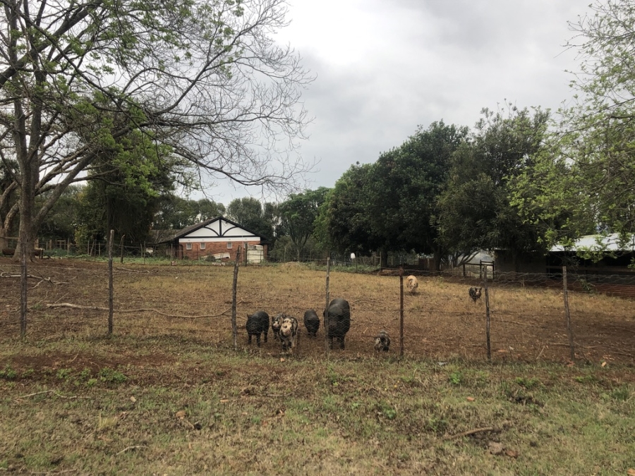 6 Bedroom Property for Sale in Merrivale KwaZulu-Natal