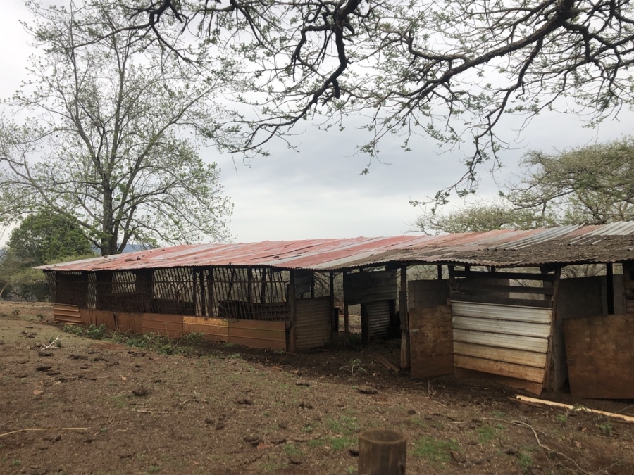 6 Bedroom Property for Sale in Merrivale KwaZulu-Natal