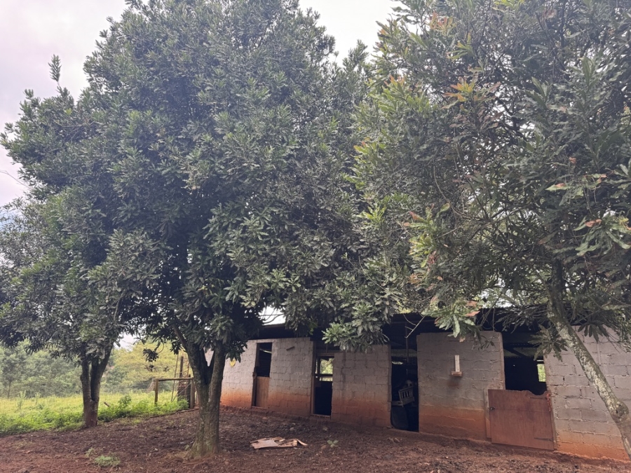 6 Bedroom Property for Sale in Merrivale KwaZulu-Natal
