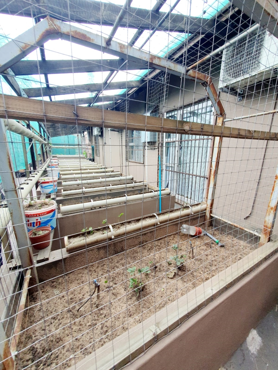 4 Bedroom Property for Sale in Arboretum KwaZulu-Natal