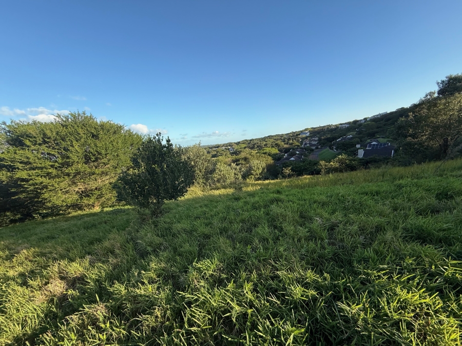 0 Bedroom Property for Sale in Zini River Estate KwaZulu-Natal