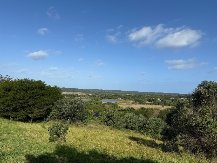 0 Bedroom Property for Sale in Zini River Estate KwaZulu-Natal