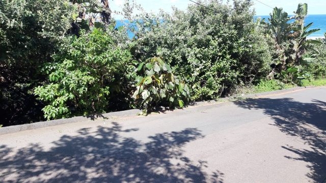 0 Bedroom Property for Sale in Bluff KwaZulu-Natal