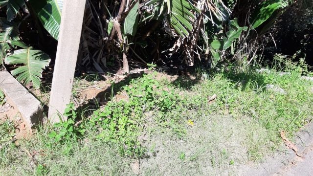 0 Bedroom Property for Sale in Bluff KwaZulu-Natal