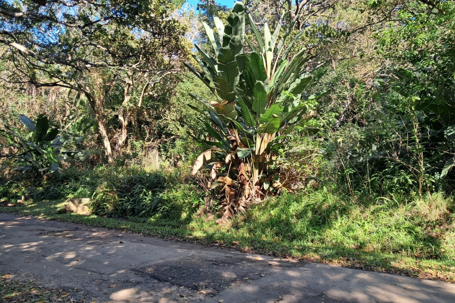 0 Bedroom Property for Sale in Marina Beach KwaZulu-Natal