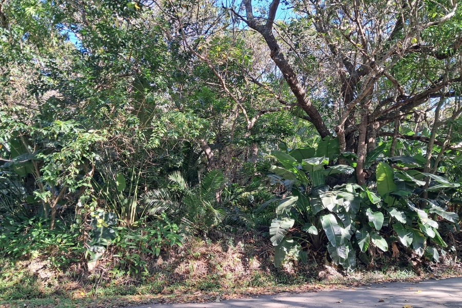 0 Bedroom Property for Sale in Marina Beach KwaZulu-Natal