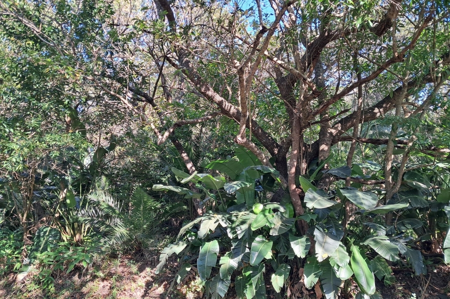 0 Bedroom Property for Sale in Marina Beach KwaZulu-Natal