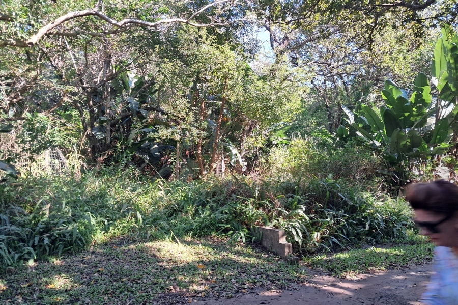 0 Bedroom Property for Sale in Marina Beach KwaZulu-Natal