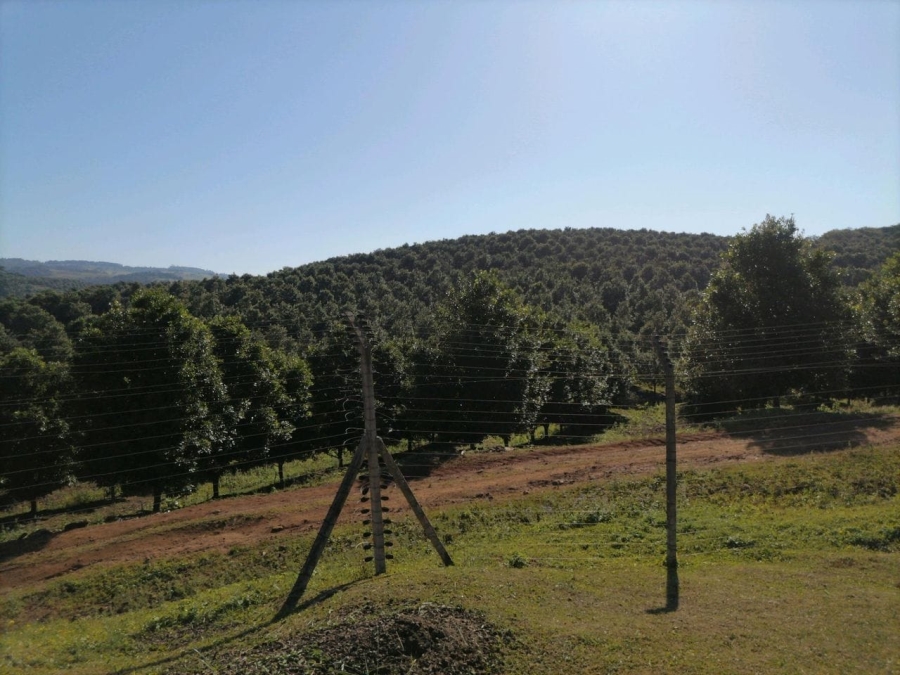 Commercial Property for Sale in Leisure Bay KwaZulu-Natal