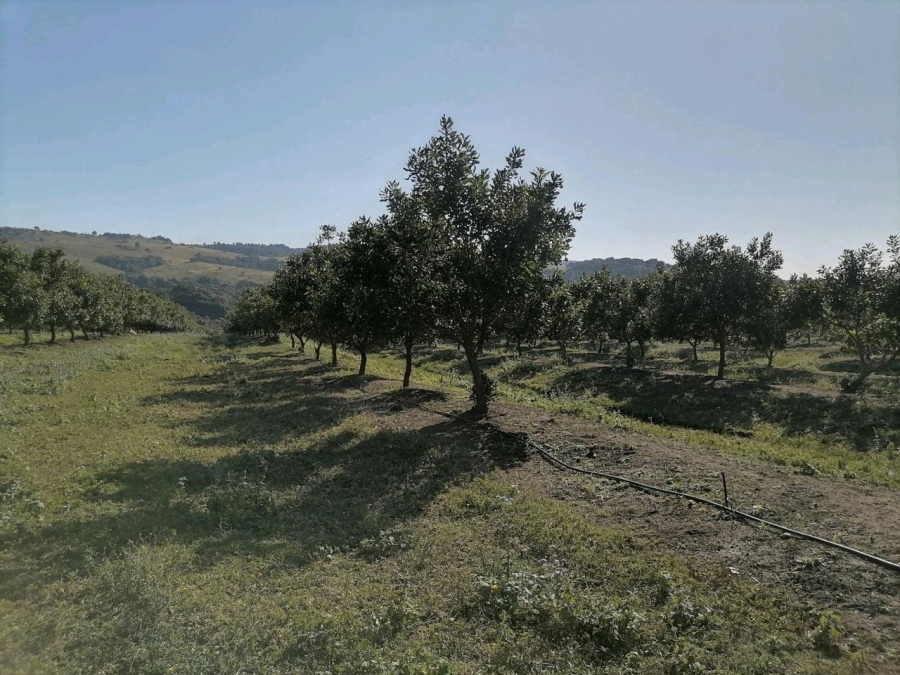 Commercial Property for Sale in Leisure Bay KwaZulu-Natal