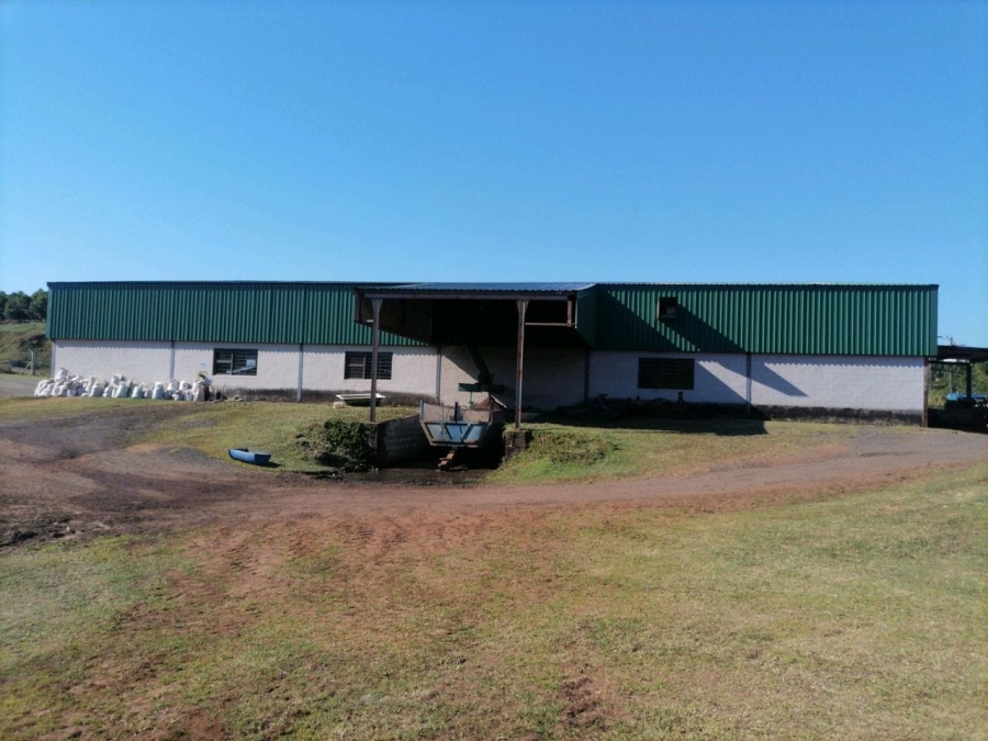Commercial Property for Sale in Leisure Bay KwaZulu-Natal