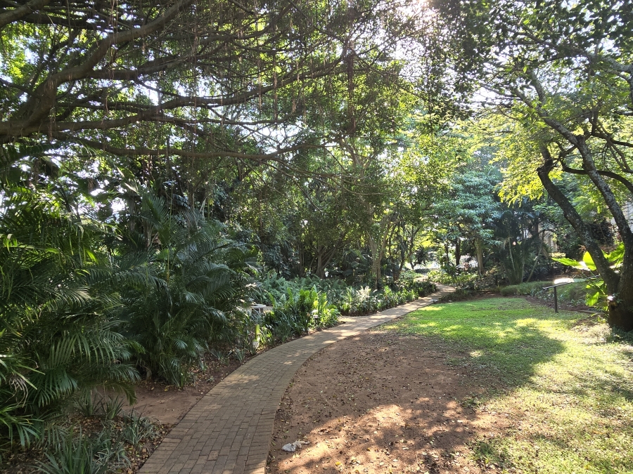 To Let 3 Bedroom Property for Rent in Ballito Central KwaZulu-Natal